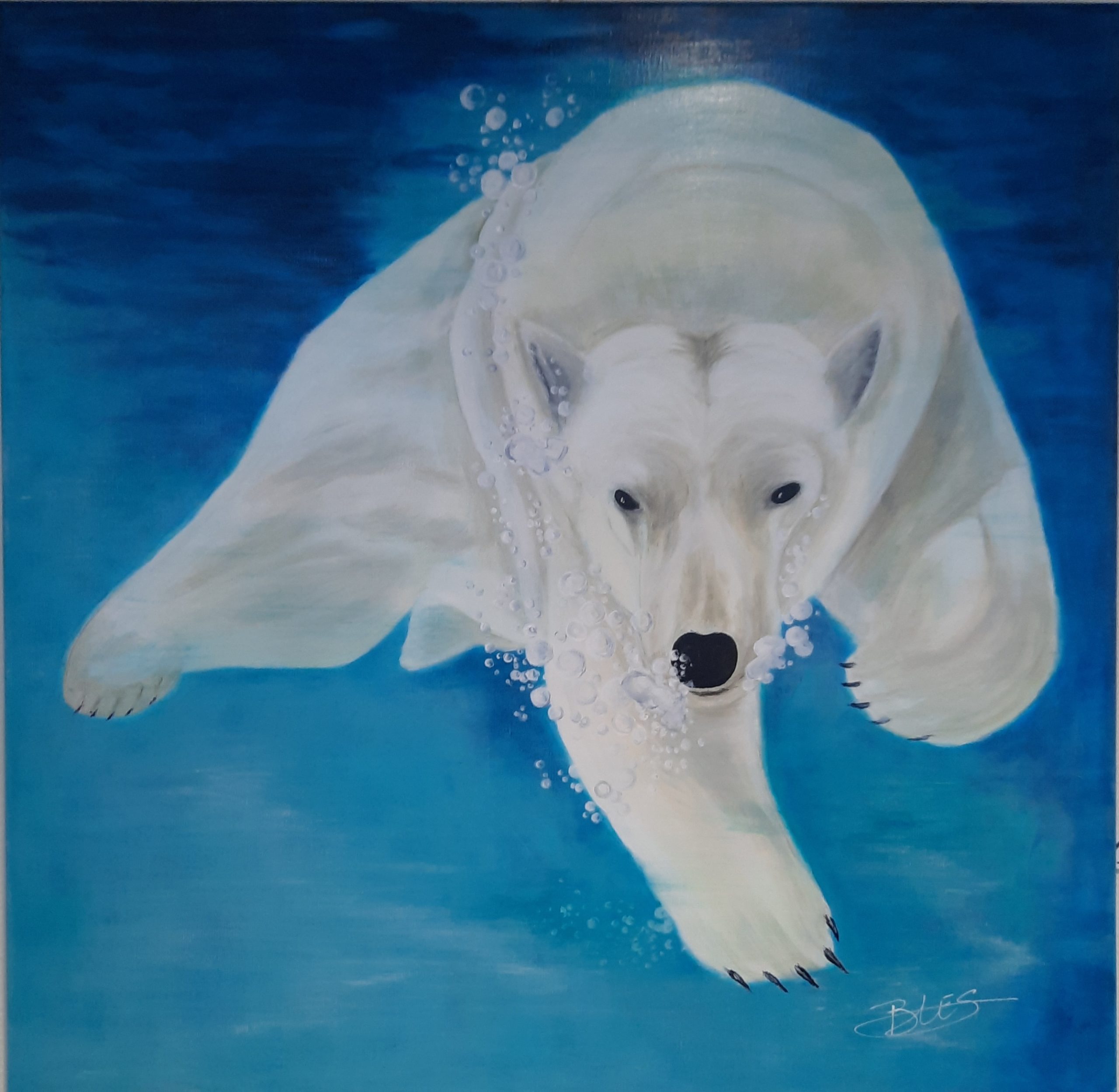 L'ours%20blanc%20au%20bain